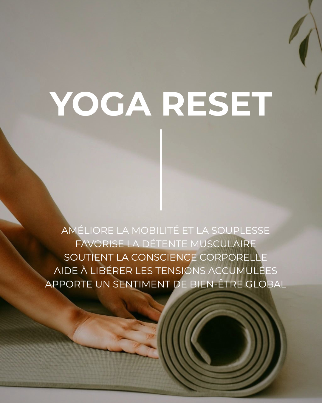 Yoga Reset